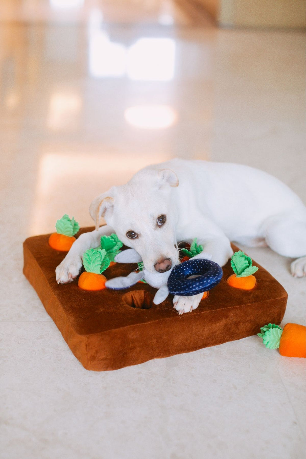 Cute white dog lying on a plush carrot toy mat indoors, enjoying playtime.